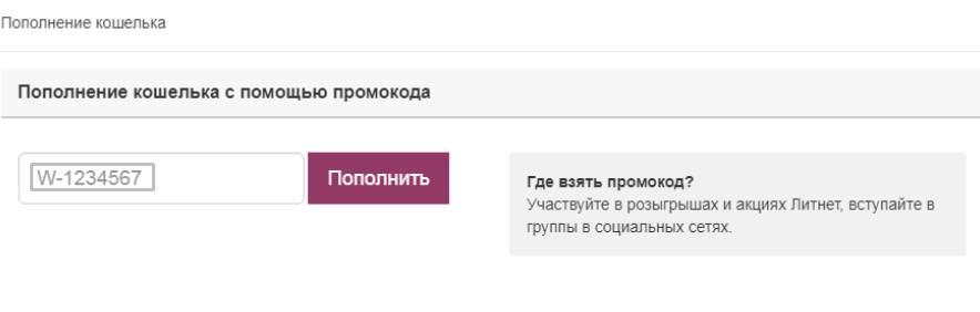 Ввести промокод на сайте litnet.com